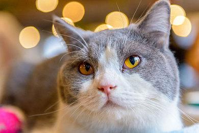 更加清晰的天外世界 《星空》4K材质MOD发布